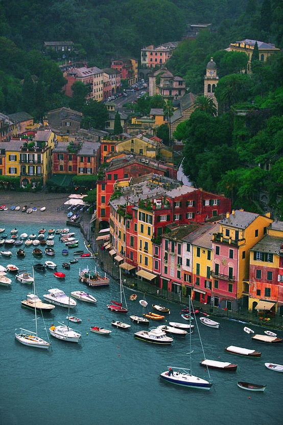Photo:  Portofino from Castello Brown, Italy